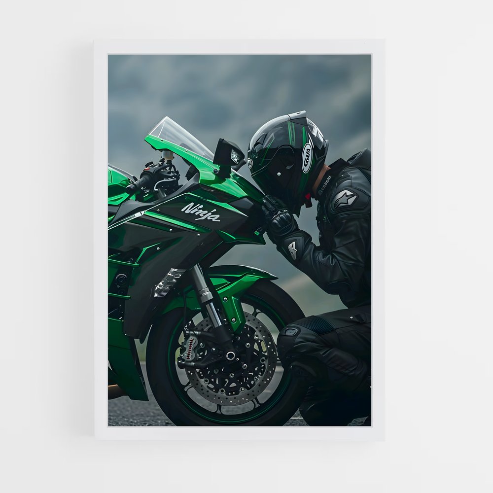 Poster Ninja Furtif H2R (vue 3)